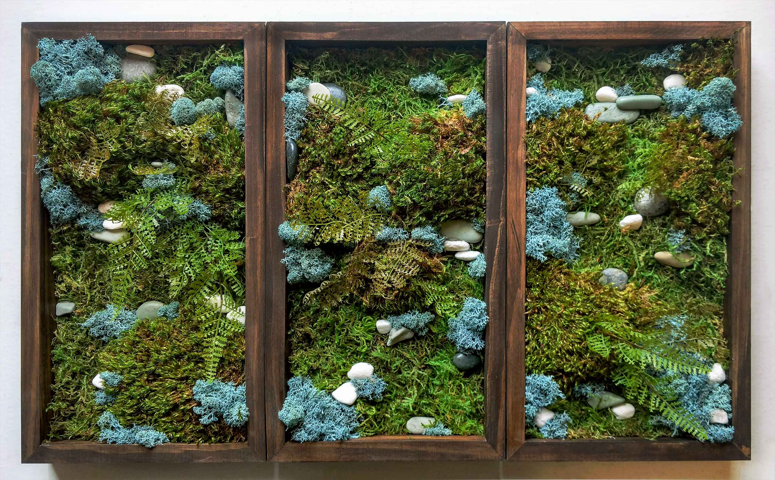Photo of preserved moss art made with reindeer moss and recycled materials 