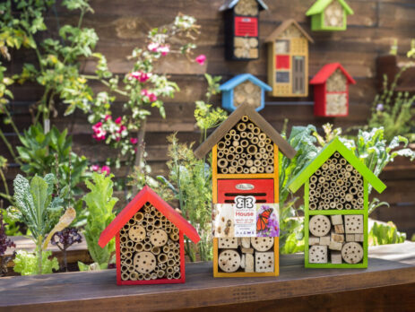 Beneficial Bug Houses