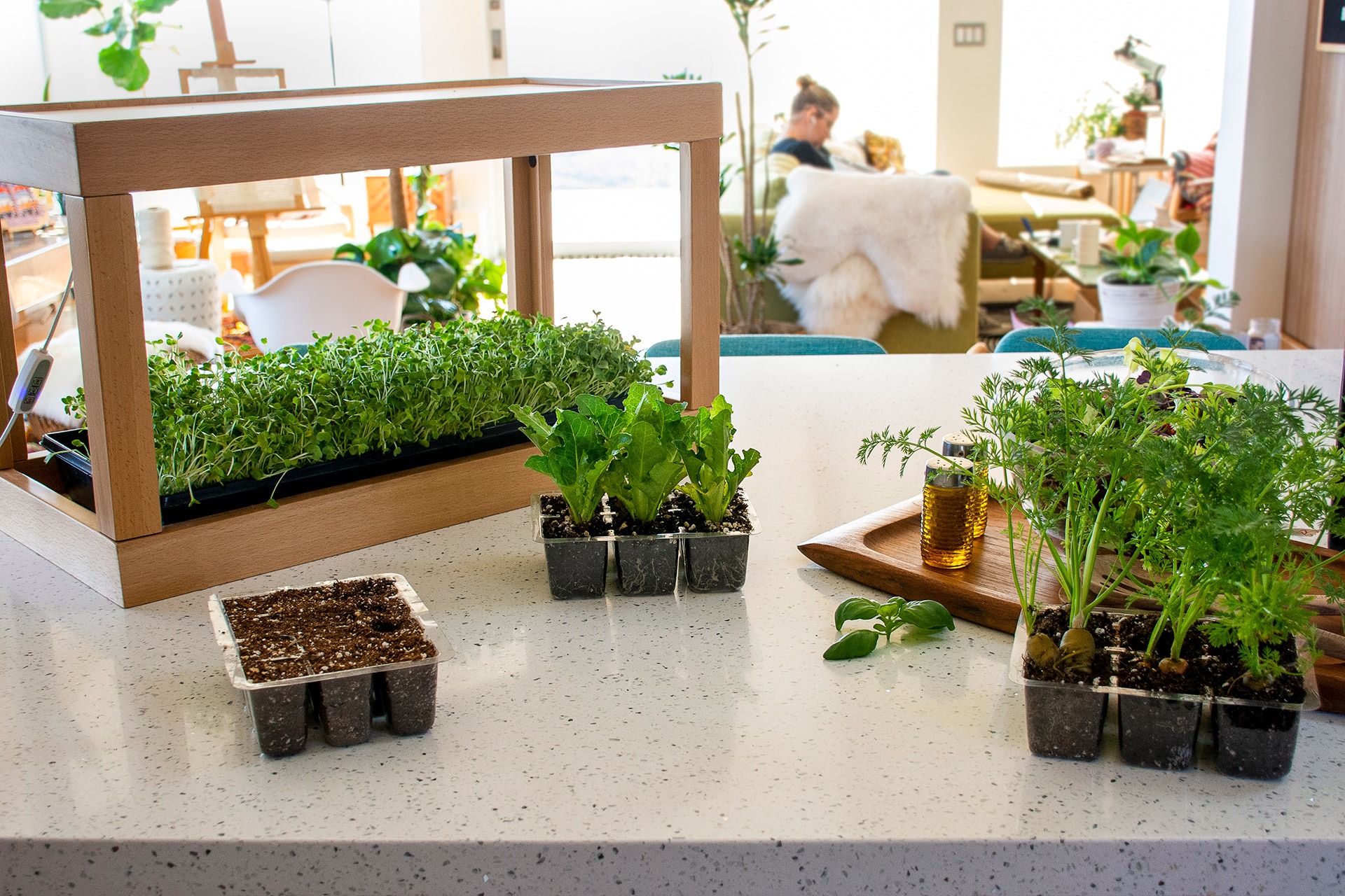 seed starting indoors with Tabletop LED Garden 