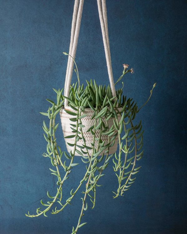string of hooks in hanging planter basket