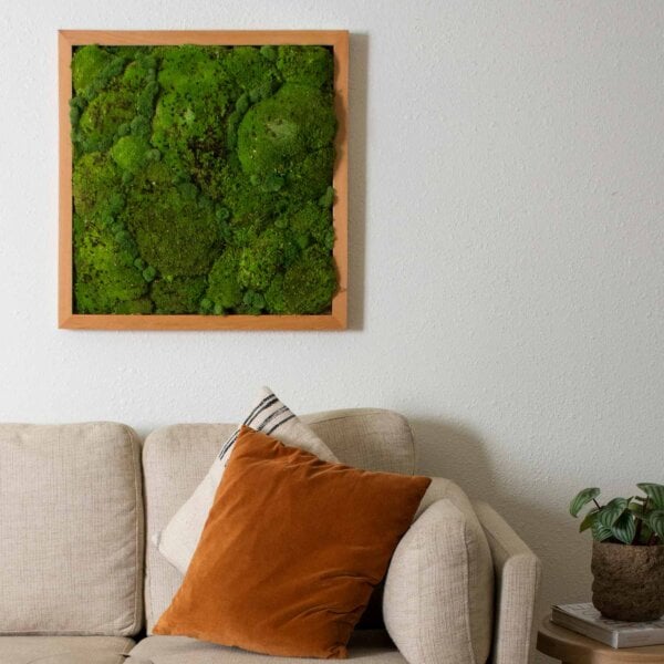 Reindeer SuperMoss Frames