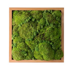 Royal Pool Moss Frame Fresh Green