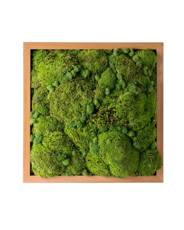 Royal Pool Moss Frame Fresh Green