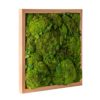 Royal Pool Moss Frame Fresh Green