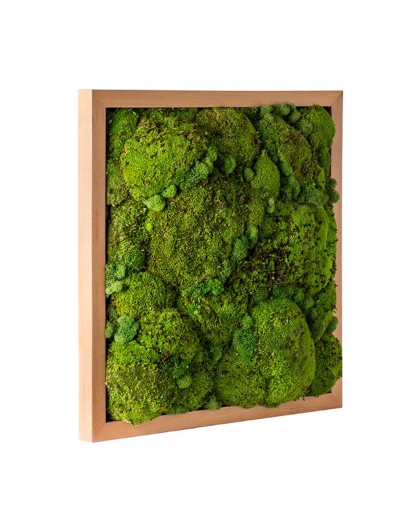 Royal Pool Moss Frame Fresh Green