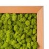 Reindeer Moss Frame Chartreuse