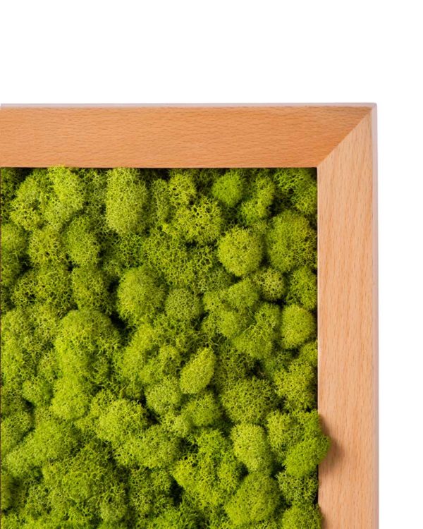 Reindeer Moss Frame Chartreuse