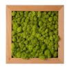 Reindeer Moss Frame Chartreuse