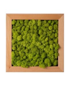 Reindeer Moss Frame Chartreuse