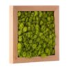 Reindeer Moss Frame Chartreuse