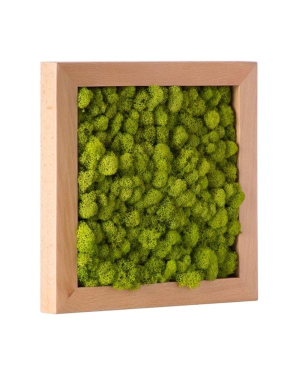 Reindeer Moss Frame Chartreuse