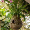 PLNT_Birdhouse_Pinapple_Lifestyle