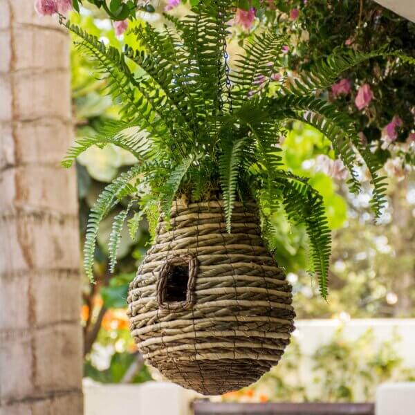 Pineapple Plantable Birdhouse