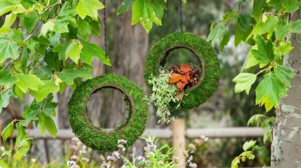 Plantable Sunrise Bird Feeder