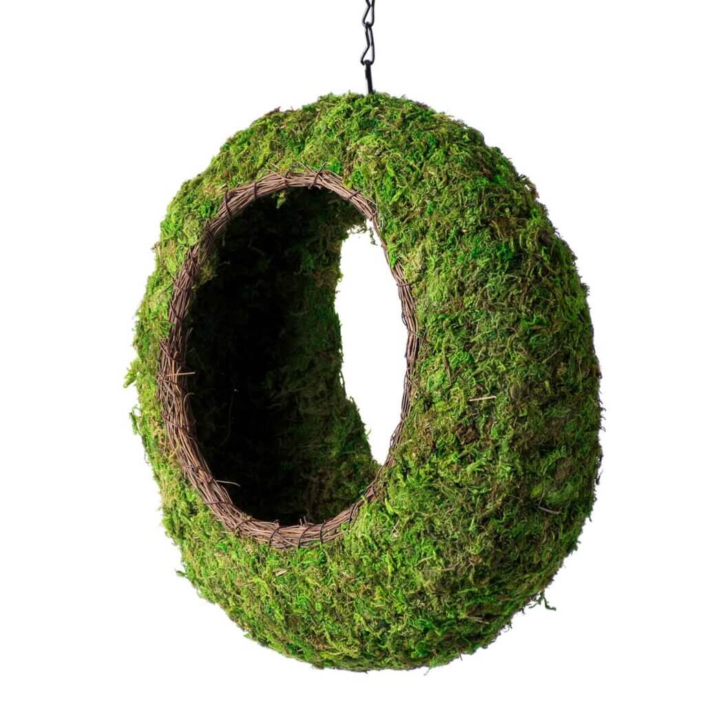 Plantable Sunrise Bird Feeder #2