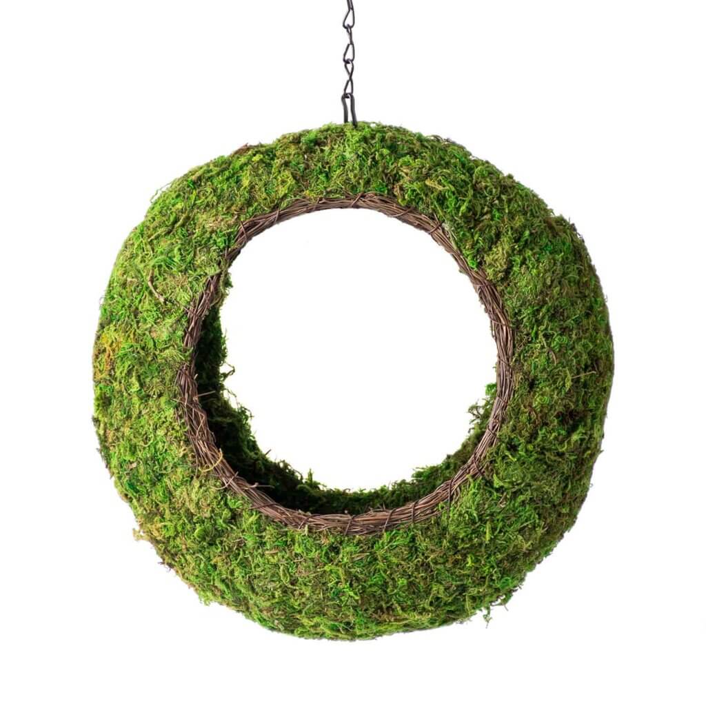 Plantable Sunrise Bird Feeder #3