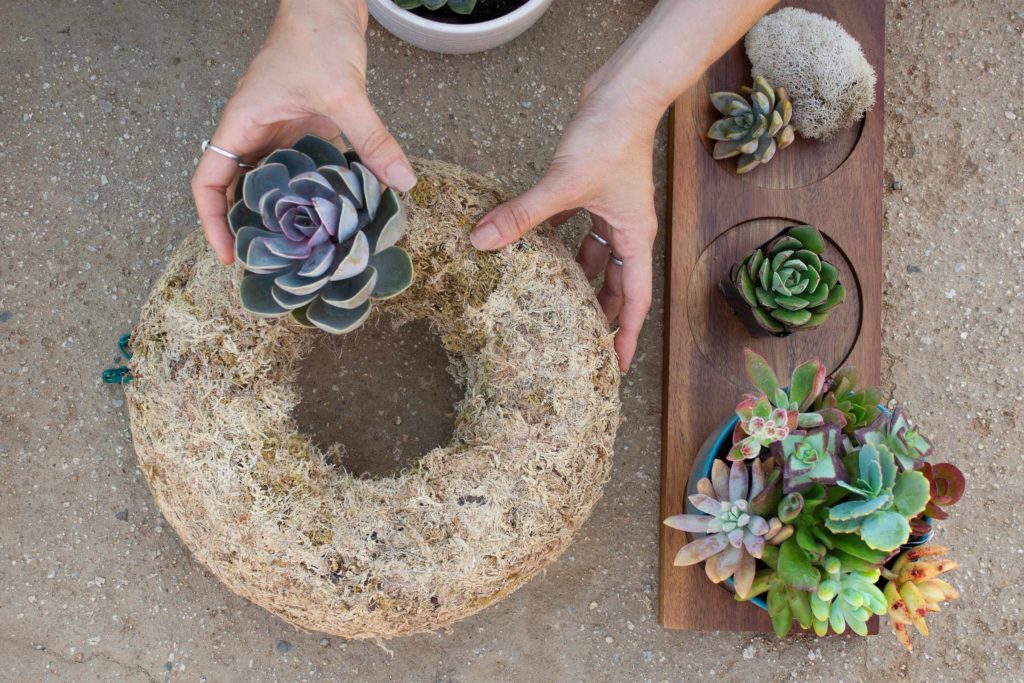 placing succulent on wreath