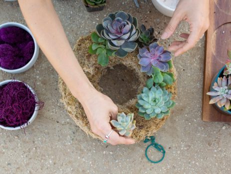 How To Make a Succulent Wreath