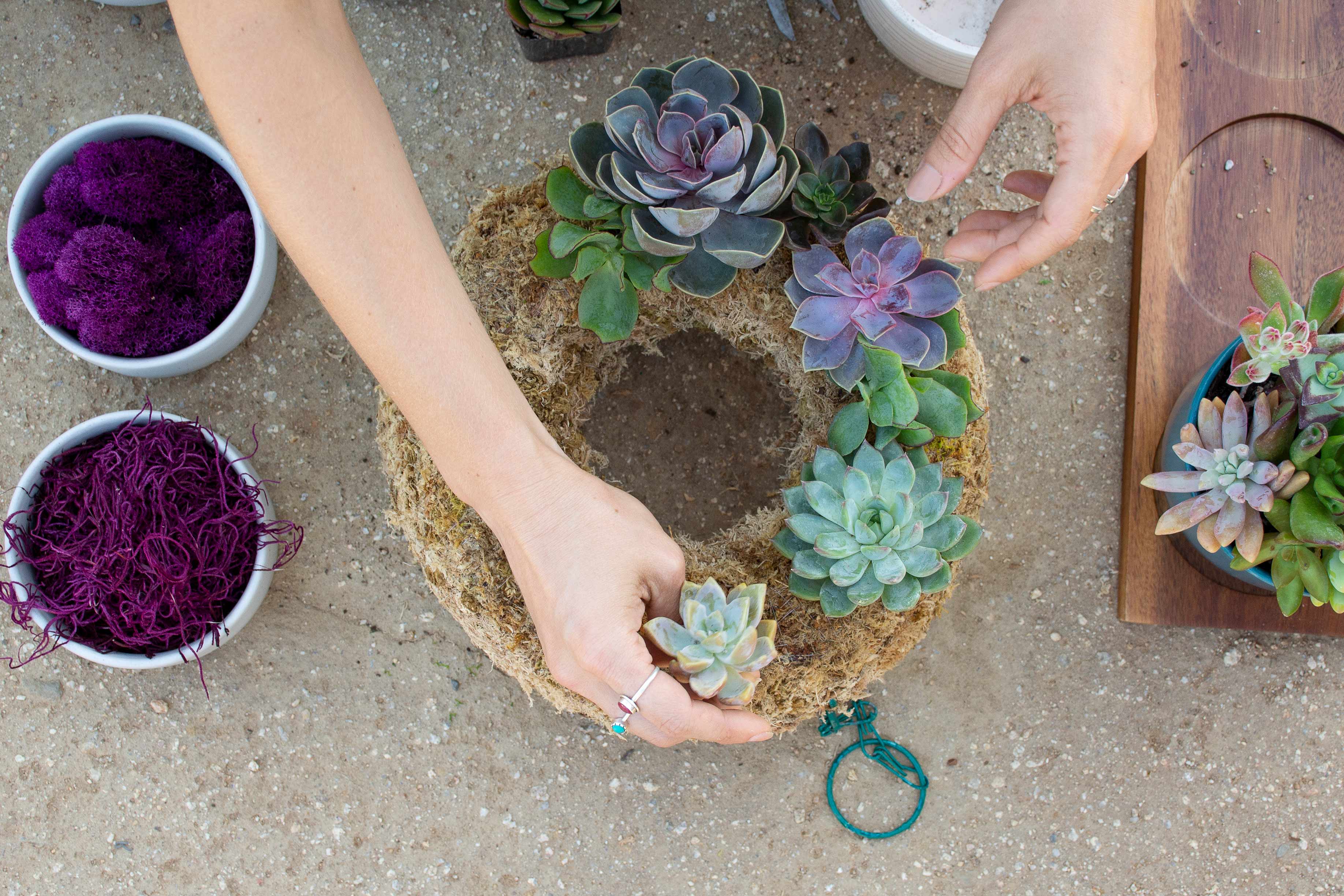 How To Make a Succulent Wreath