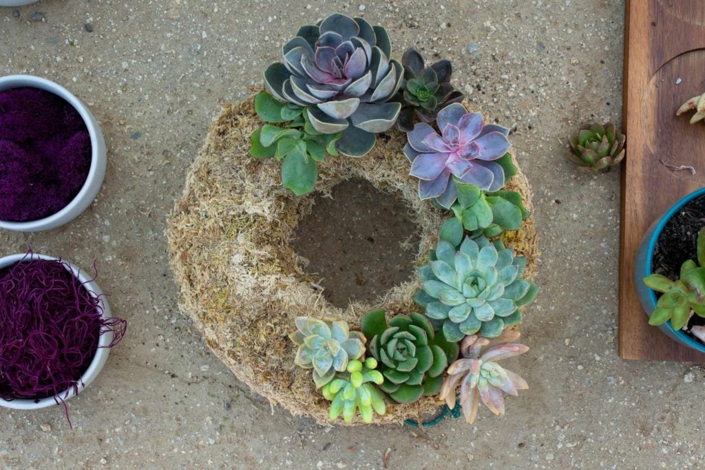 Laying wreath on a flat surface