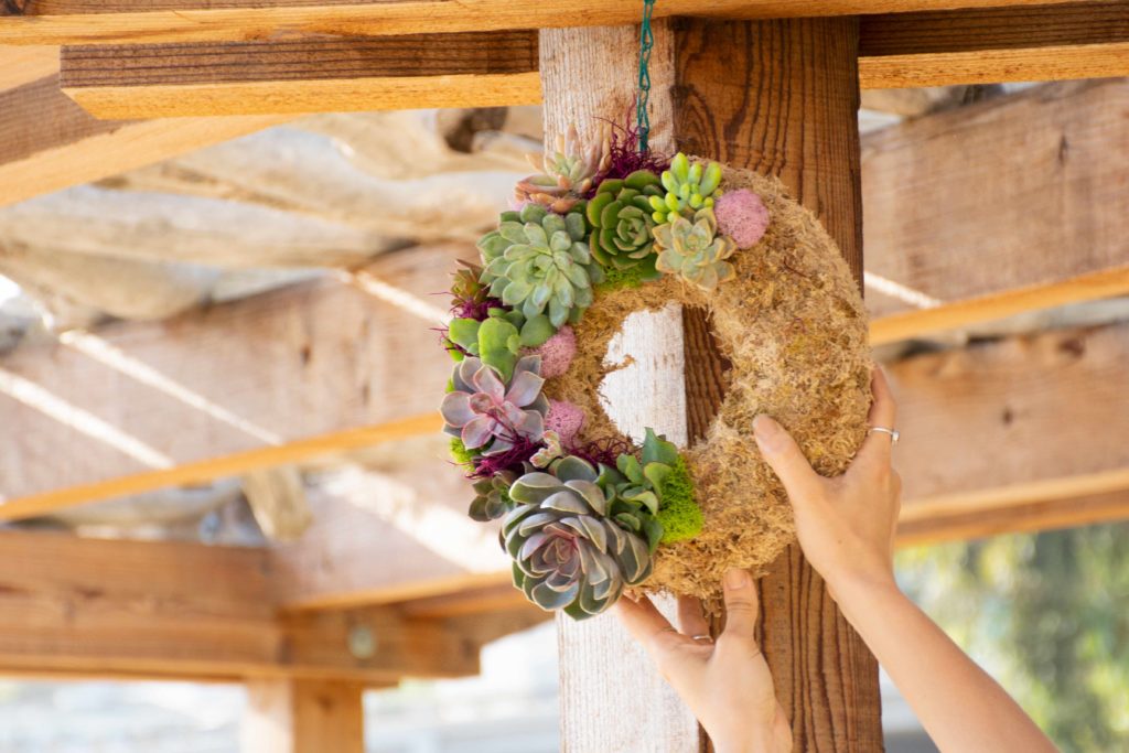 hanging succulent wreath