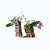 Hollow-Log-Hide_15′-20’_05550_Product-Photo05