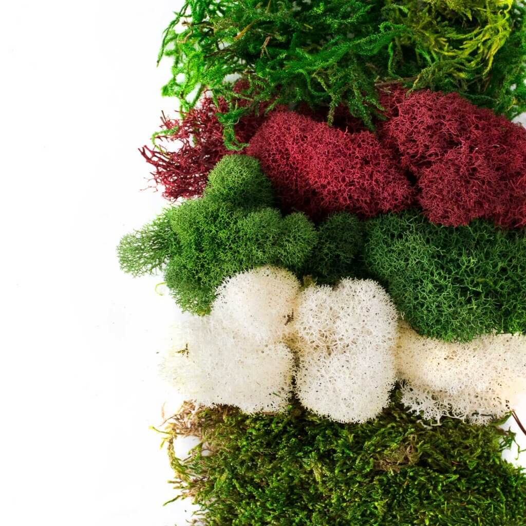 Christmas Moss Mix #4