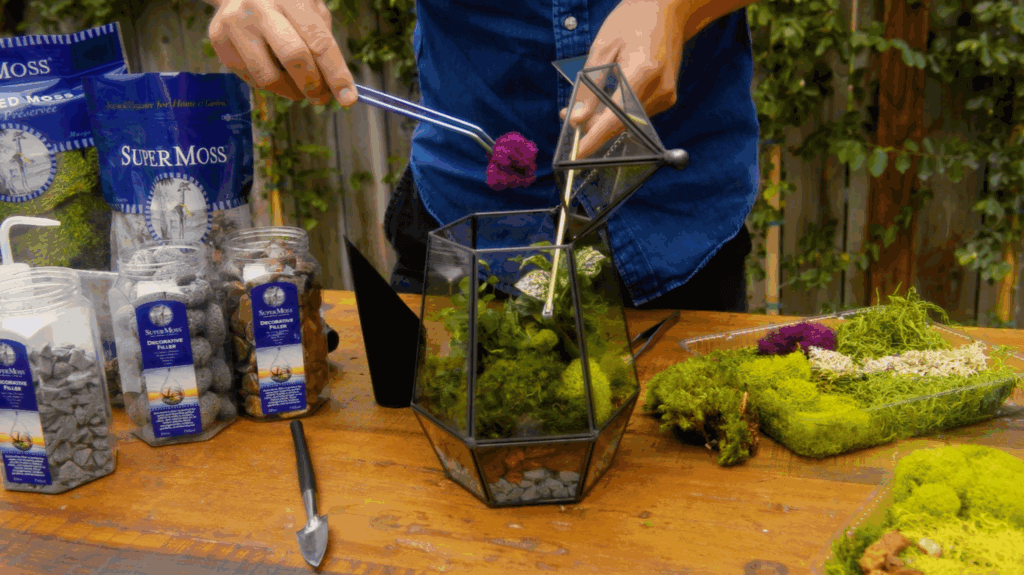 SuperMoss - Vermont Moss Mix
