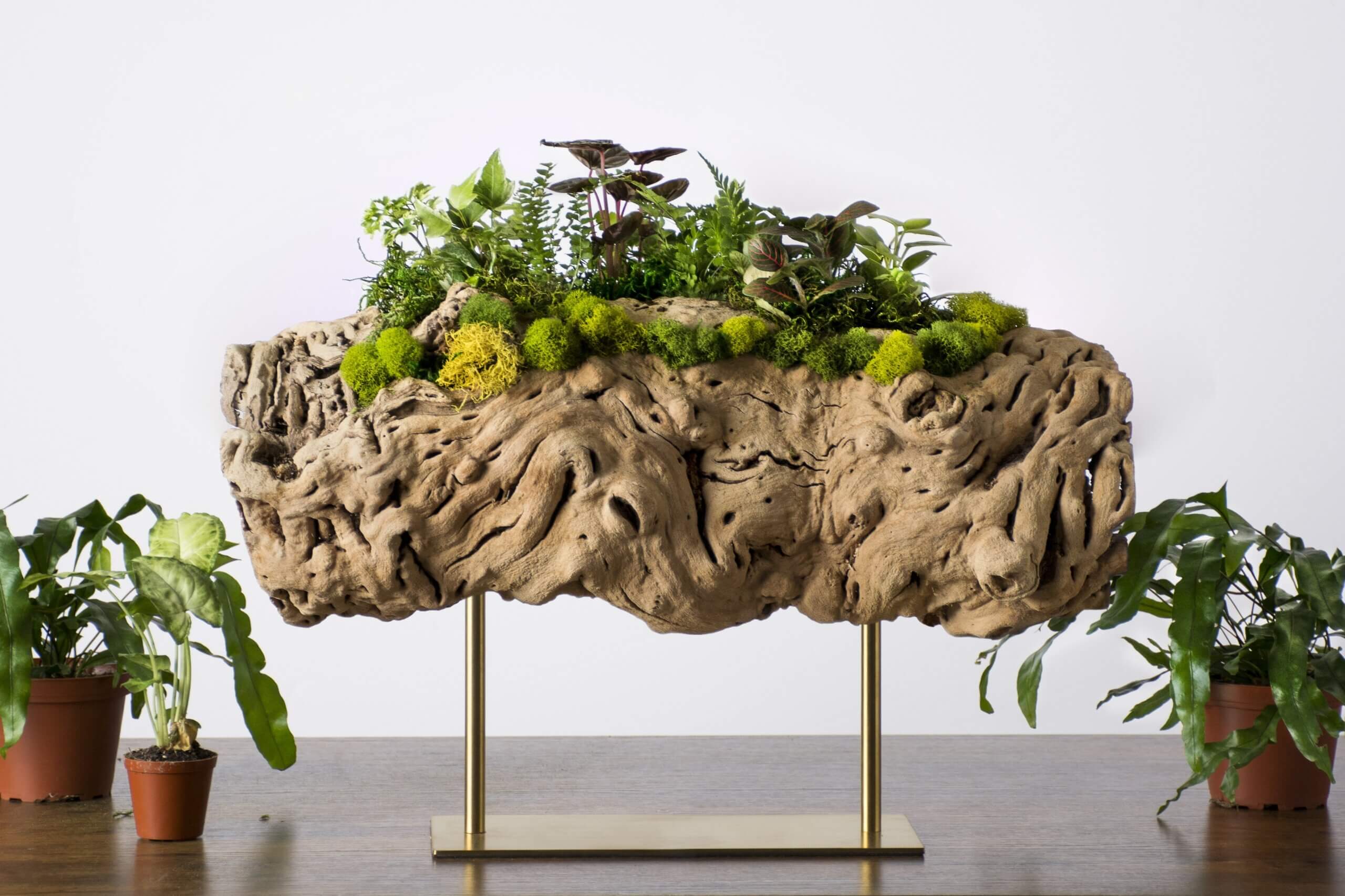 SuperMoss | Buy Moss, Hanging Baskets, and Floral Accessories Online!