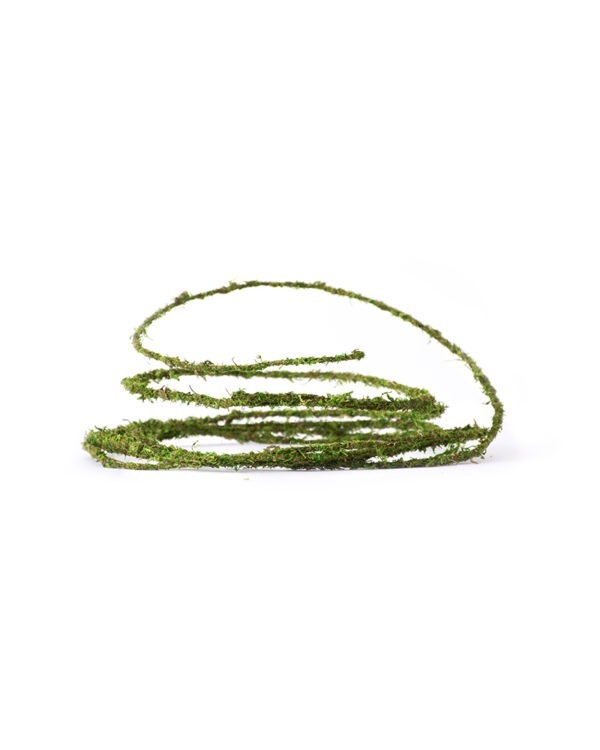 Moss Floral Wire, 12ft