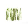 22740_Moss Floral Ties 5inch_web_2