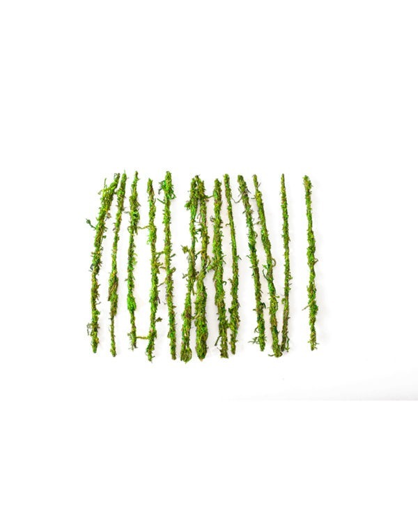 Moss Floral Ties