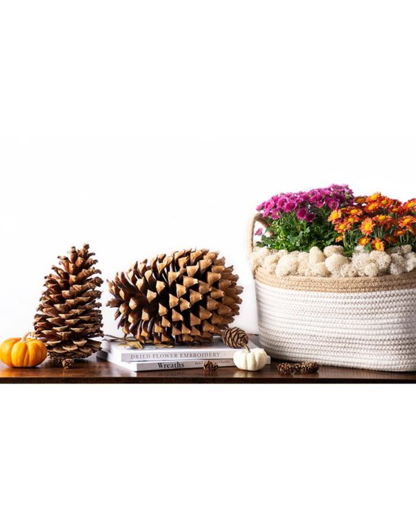 Succulents, rocks, pine cones, flowers in wood boxes for centerpieces