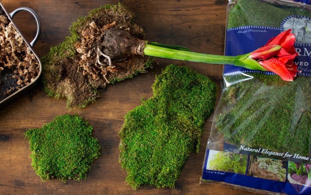 Artificial Sphagnum Moss Sheets - Faux Moss