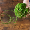 DIY Kokedama with Sheet Moss