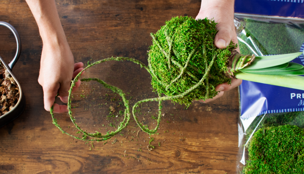 DIY Kokedama with Sheet Moss