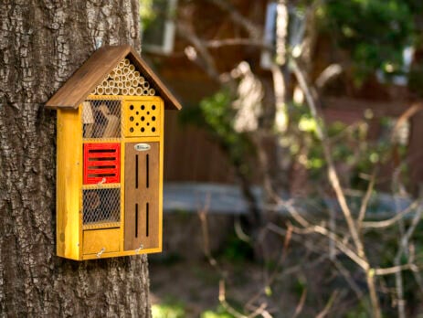 Green Holiday Gift Guide Beneficial Bug House