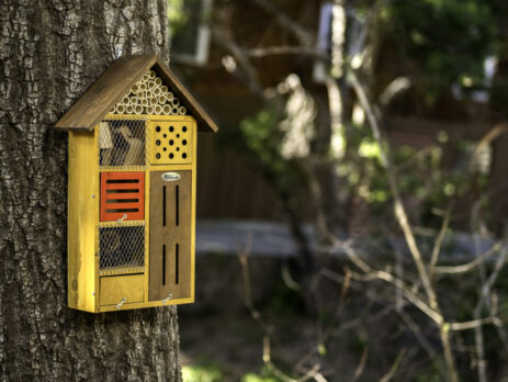 Green Holiday Gift Guide Beneficial Bug House