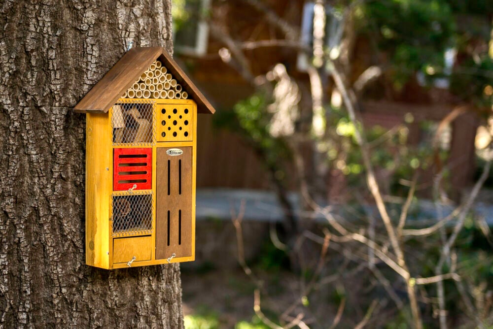 Green Holiday Gift Guide Beneficial Bug House