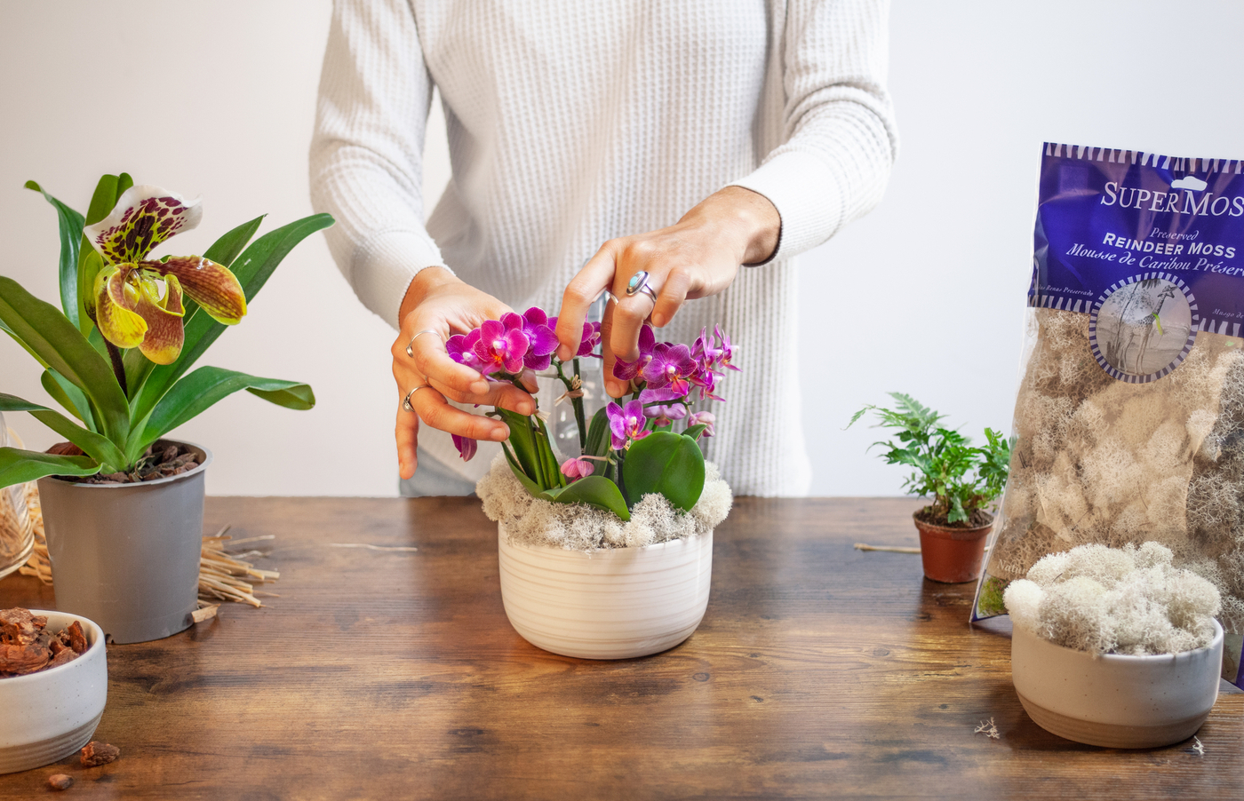 Mini Orchids Garden Arrangement