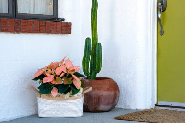 Decorate for the Holidays with Natural Accents