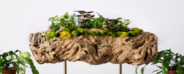 Woodland Centerpiece