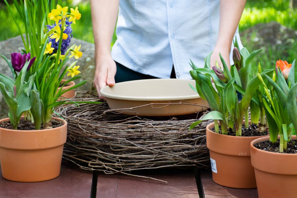 Nest Bulb Garden_01