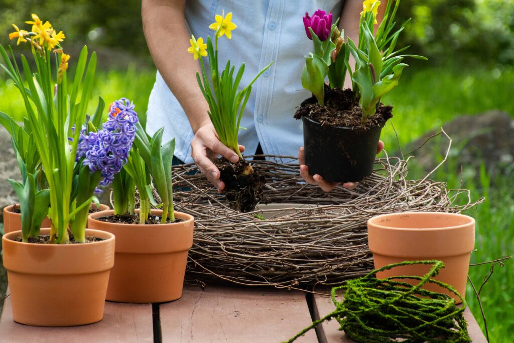 Bulb Nest Garden_06