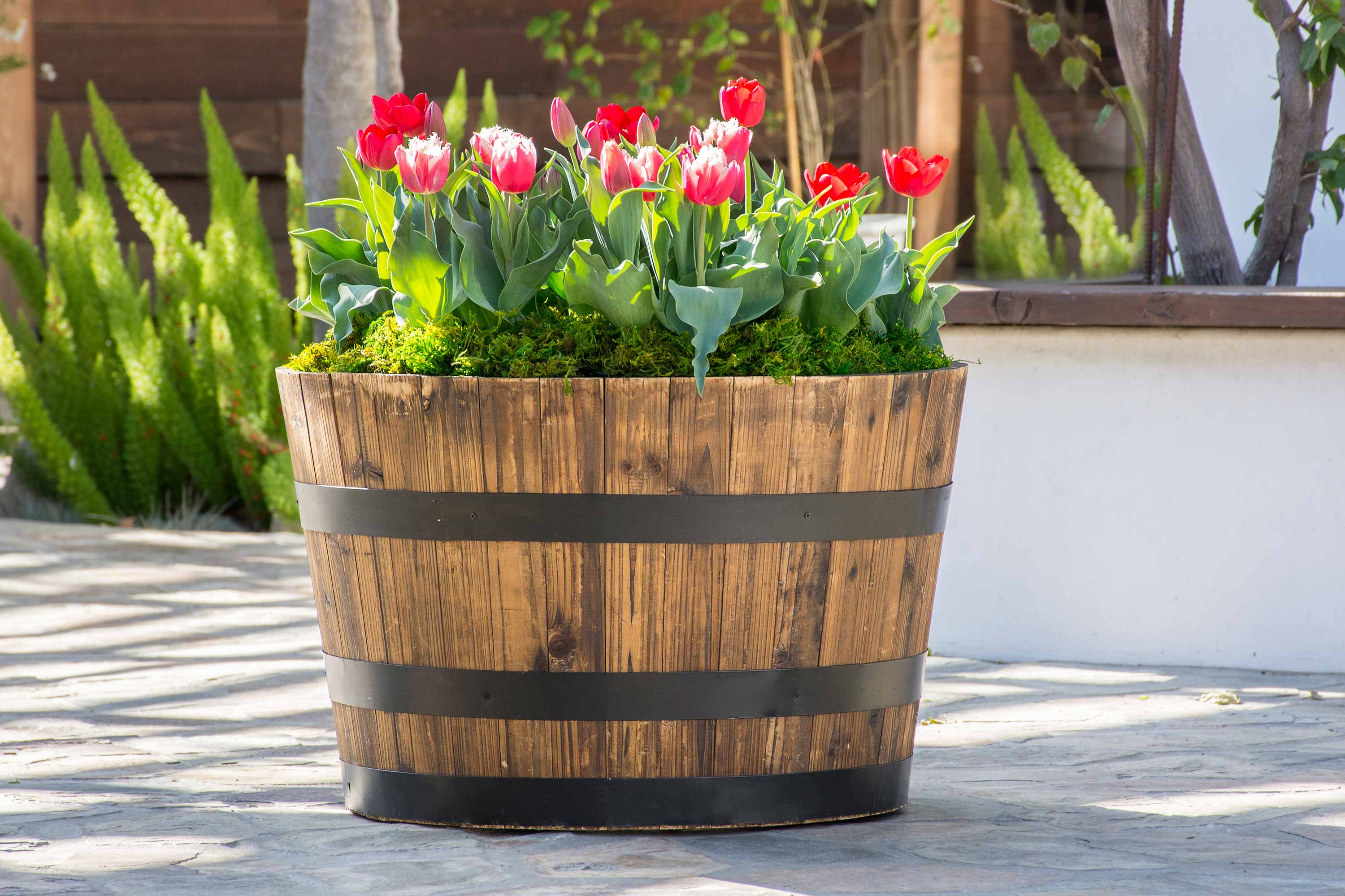 Spring Tulip Barrel Garden