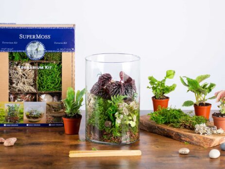 Forest Terrarium Kit