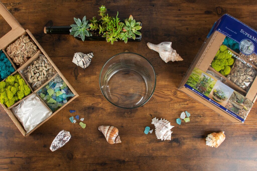 Coastal Terrarium with Beach and Live Moss - Glass - Pebbles - Sand from  Apollo Box