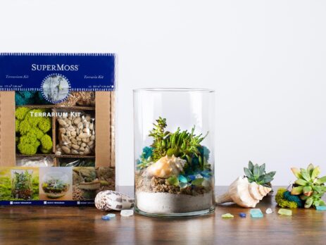 Beach Terrarium Kit