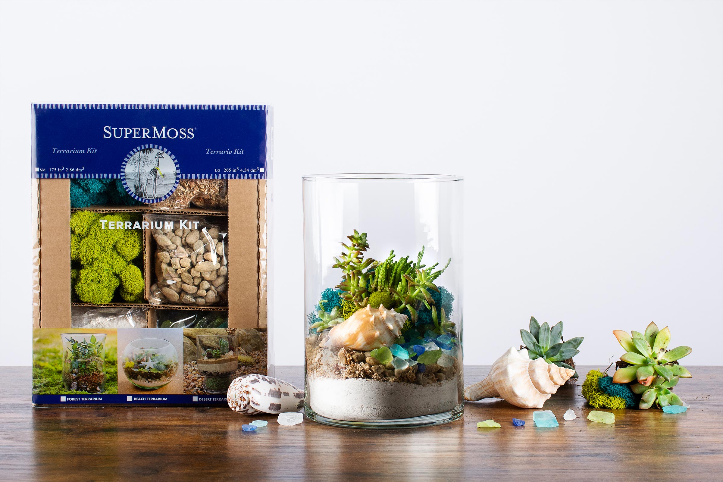 Coastal Terrarium with Beach and Live Moss - Glass - Pebbles - Sand from  Apollo Box