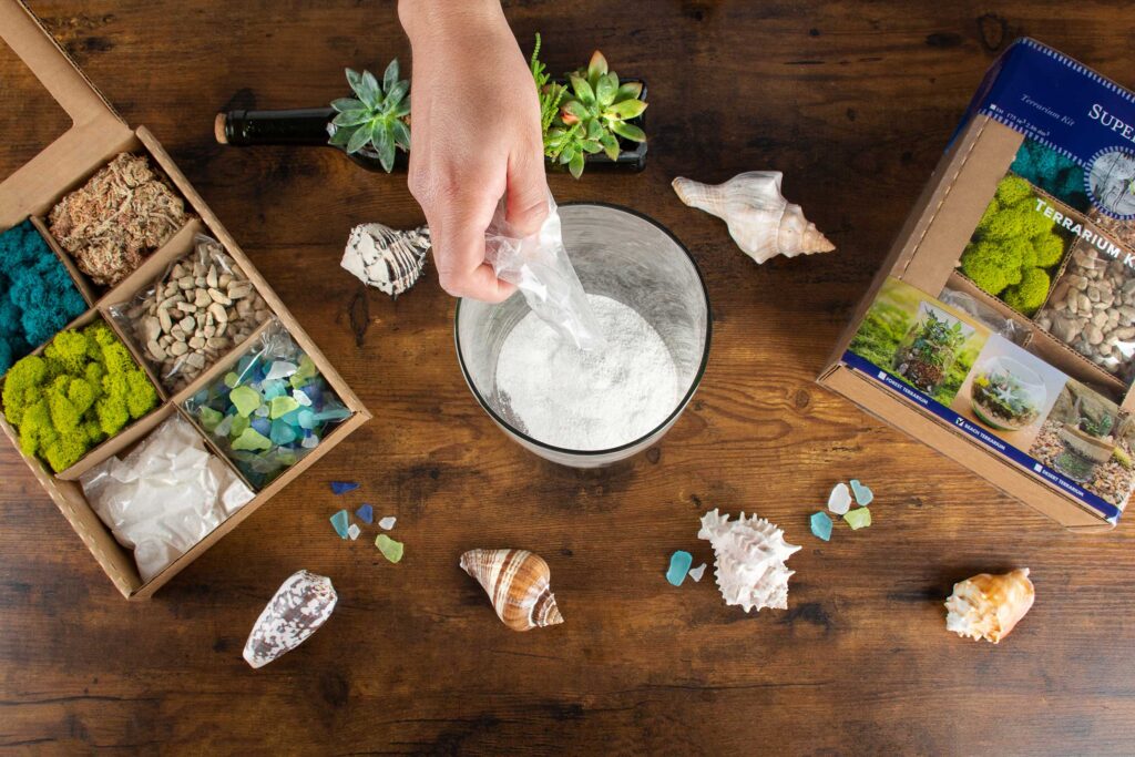 Coastal Terrarium with Beach and Live Moss - Glass - Pebbles - Sand from  Apollo Box